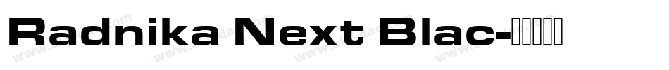 Radnika Next Blac字体转换